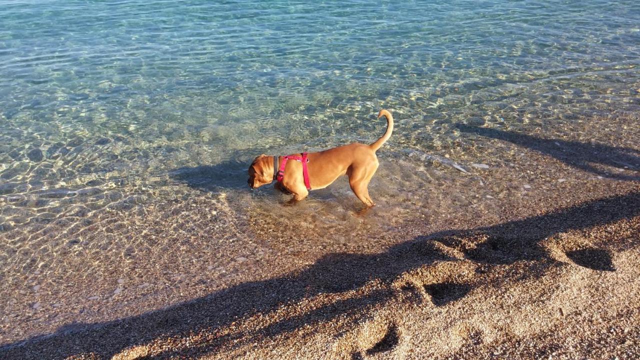Appartamento Al Mare Via Delle Mimose バリ・サルド エクステリア 写真